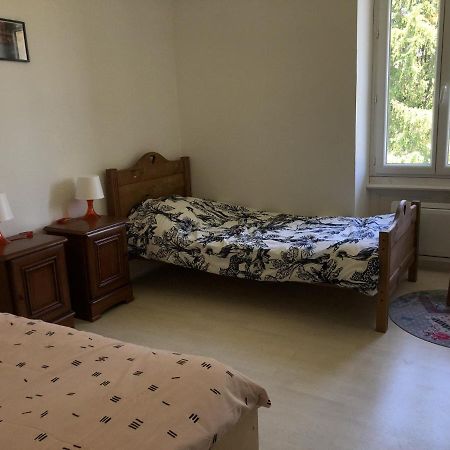 Chambres Individuelles Avec Partie Commune Ou Logement Entier Si Disponible Via Rhona Vulbens Buitenkant foto